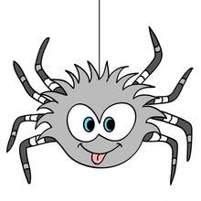 Image halloween araignée